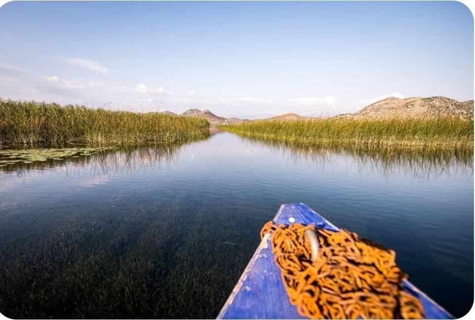 Holiday Home Haustor With Skadar Lake View Podgorica Extérieur photo